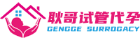广州耿哥试管助孕
