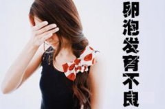代妈必读：代妈卵泡发育不良