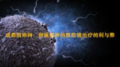 广州代妈网：卵巢囊肿的腹腔镜治疗的利与弊