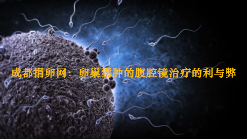 广州代妈网:卵巢囊肿的腹腔镜治疗的利与弊