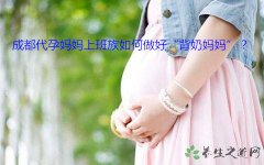 广州代妈上班族如何做好“背奶代妈”？