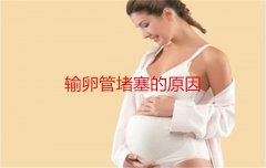 输卵管堵塞的原因