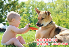 卵巢不排卵该怎么检查