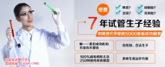 备孕期间吃什么可以促进排卵